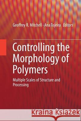 Controlling the Morphology of Polymers: Multiple Scales of Structure and Processing Mitchell, Geoffrey R. 9783319818665 Springer - książka