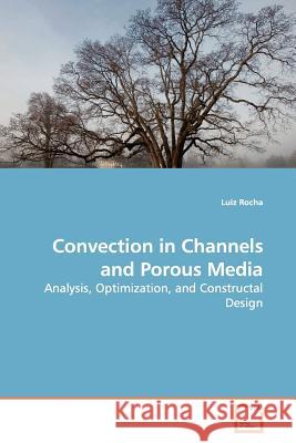 Convection in Channels and Porous Media Luiz Rocha 9783639140828 VDM Verlag - książka