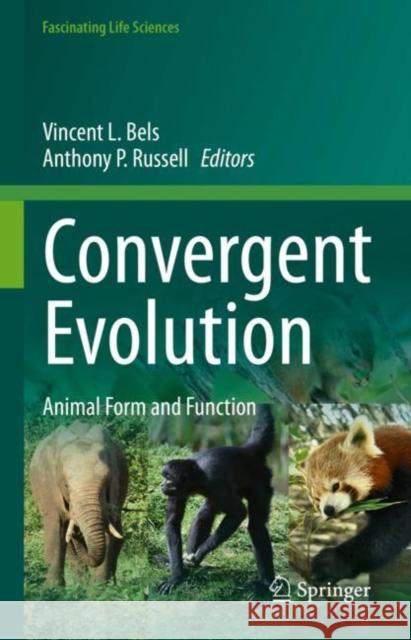 Convergent Evolution: Animal Form and Function Vincent Bels Anthony Patrick Russell 9783031114403 Springer - książka
