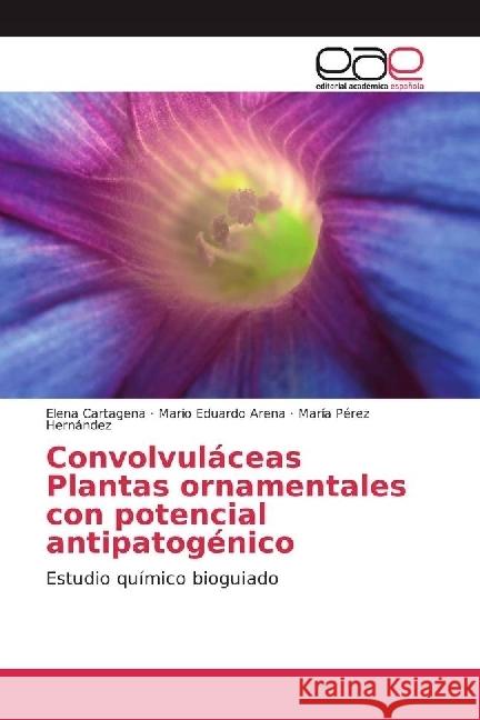 Convolvuláceas Plantas ornamentales con potencial antipatogénico : Estudio químico bioguiado Cartagena, Elena; Arena, Mario Eduardo; Hernández, María Pérez 9783841752154 Editorial Académica Española - książka