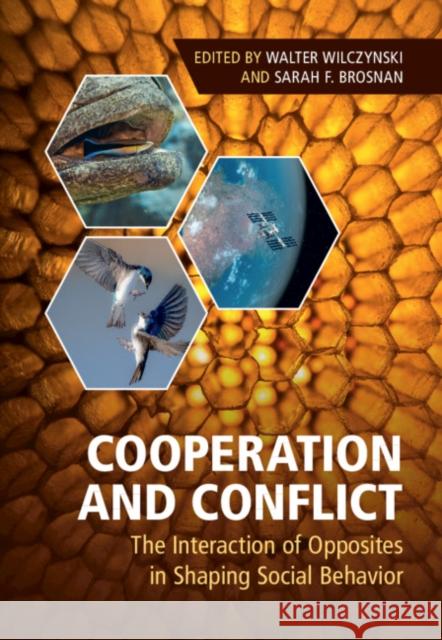 Cooperation and Conflict: The Interaction of Opposites in Shaping Social Behavior Walter Wilczynski (Georgia State University), Sarah F. Brosnan (Georgia State University) 9781108475693 Cambridge University Press - książka