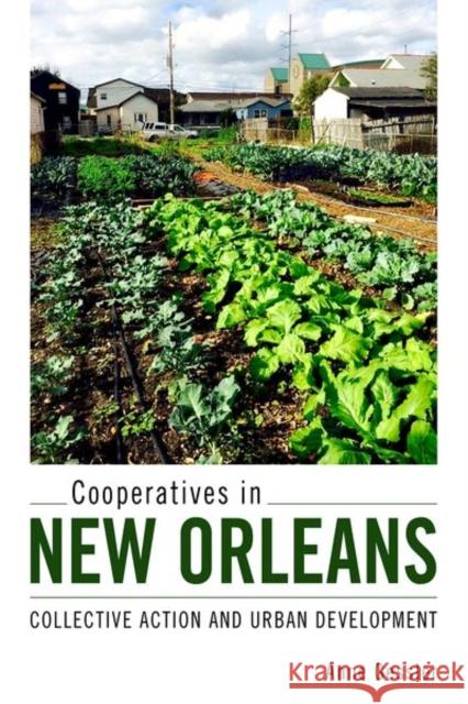 Cooperatives in New Orleans: Collective Action and Urban Development Anne Gessler Marie-Isabelle Pautz 9781496827616 University Press of Mississippi - książka