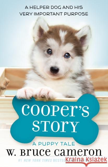 Cooper's Story: A Puppy Tale W. Bruce Cameron 9781250163387 Starscape Books - książka