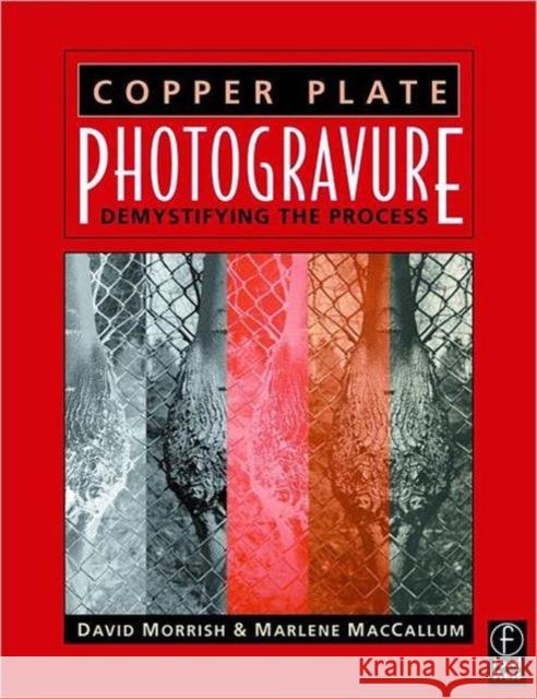 Copper Plate Photogravure: Demystifying the Process Morrish, David 9780240805276 Focal Press - książka