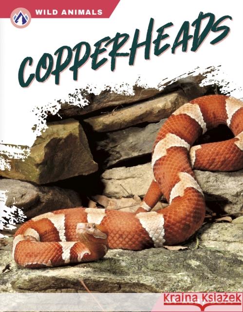 Copperheads Abby Doty 9798892505475 Apex - książka