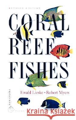 Coral Reef Fishes: Indo-Pacific and Caribbean Lieske, Ewald 9780691089959 Princeton University Press - książka