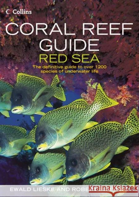 Coral Reef Guide Red Sea Robert F. Myers 9780007159864 HarperCollins Publishers - książka