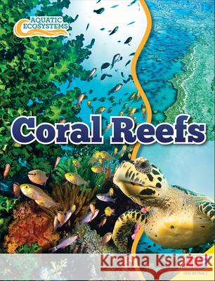 Coral Reefs John Willis 9781791128074 Av2 - książka