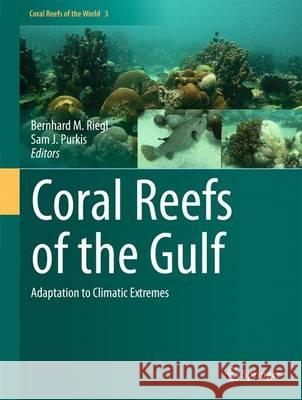 Coral Reefs of the Gulf: Adaptation to Climatic Extremes Riegl, Bernhard 9789400730076 Springer Netherlands - książka