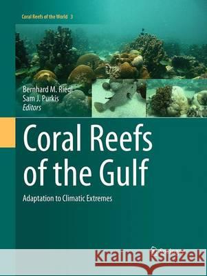 Coral Reefs of the Gulf: Adaptation to Climatic Extremes Riegl, Bernhard 9789401777377 Springer - książka