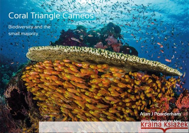 Coral Triangle Cameos: Biodiversity and the small majority Alan J Powderham 9781909455573 Dived Up Publications - książka