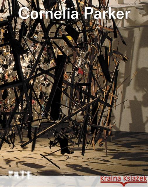 Cornelia Parker  9781849767866 Tate Publishing - książka