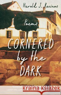 Cornered by the Dark: Poems Harold J. Recinos 9781640604292 Paraclete Press (MA) - książka