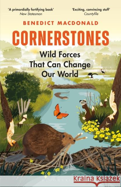 Cornerstones: Wild Forces That Can Change Our World Benedict Macdonald 9781472971593 Bloomsbury Publishing PLC - książka