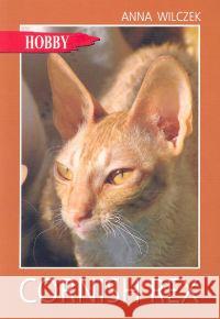 Cornish rex Wilczek Anna 9788389986122 Egros - książka