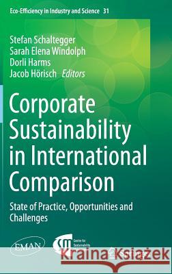 Corporate Sustainability in International Comparison: State of Practice, Opportunities and Challenges Schaltegger, Stefan 9783319062266 Springer - książka