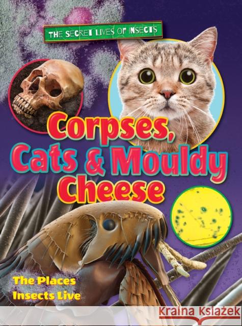 Corpses, Cats and Mouldy Cheese Ruth Owen 9781788560009 Ruby Tuesday Books Ltd - książka