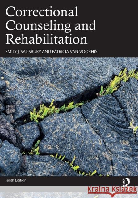 Correctional Counseling and Rehabilitation Patricia Van Voorhis 9780367406455 Taylor & Francis Ltd - książka