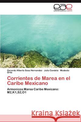 Corrientes de Marea En El Caribe Mexicano Gerardo Alberto Sos Julio Candela Modesto Ortiz 9783847351320 Editorial Acad Mica Espa Ola - książka
