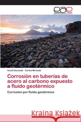 Corrosión en tuberías de acero al carbono expuesto a fluido geotérmico Sauceda, Israel 9783659082740 Editorial Academica Espanola - książka