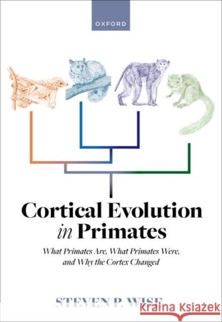 Cortical Evolution in Primates Wise 9780192868398 OUP OXFORD - książka