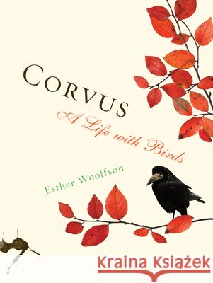 Corvus: A Life with Birds Esther Woolfson 9781582435831 Counterpoint - książka