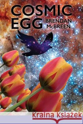 Cosmic Egg Brendan McBreen Lana Hechtman Ayers 9781936657261 Moonpath Press - książka