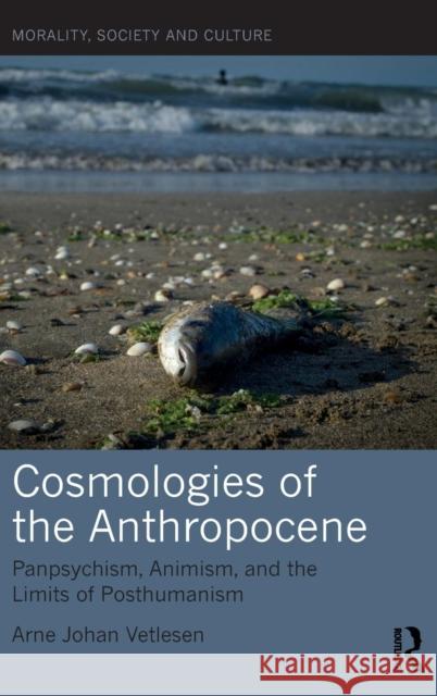 Cosmologies of the Anthropocene: Panpsychism, Animism, and the Limits of Posthumanism Arne Johan Vetlesen 9780367182922 Routledge - książka