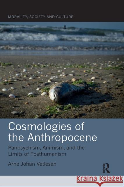 Cosmologies of the Anthropocene: Panpsychism, Animism, and the Limits of Posthumanism Arne Johan Vetlesen 9780367545345 Routledge - książka