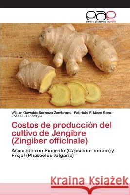 Costos de producción del cultivo de Jengibre (Zingiber officinale) Sornoza Zambrano Willian Oswaldo 9783659101168 Editorial Academica Espanola - książka