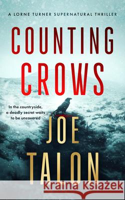 Counting Crows Joe Talon 9781036709846 Vinci Books Ltd - książka