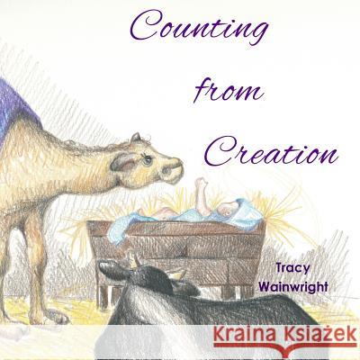 Counting from Creation Tracy Wainwright 9780989948524 TLC Wainwright Publishing, LLC - książka