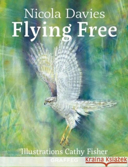 Country Tales: Flying Free Nicola Davies 9781912654093 Graffeg Limited - książka