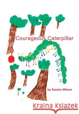 Courageous Caterpillar Sandra Wilson 9781988215372 One Thousand Trees - książka