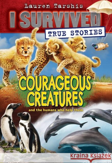 Courageous Creatures (I Survived True Stories #4) Lauren Tarshis 9781338317947 Scholastic Inc. - książka