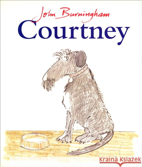 Courtney John Burningham 9780099666813  - książka