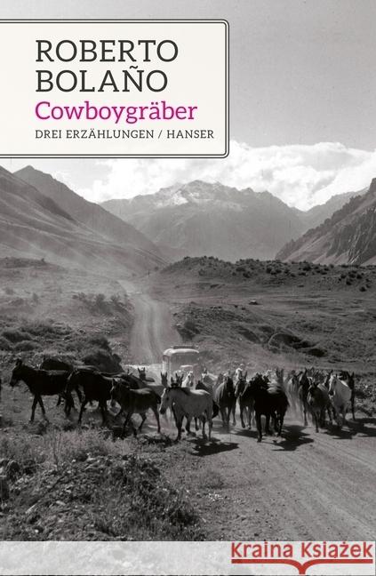 Cowboygräber : Drei Erzählungen Bolaño, Roberto 9783446265578 Hanser - książka