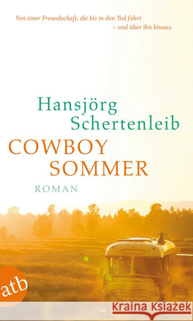 Cowboysommer : Roman Schertenleib, Hansjörg 9783746628660 Aufbau TB - książka