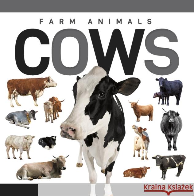 Cows Eliza Nodes 9798894710563 North Star Kids - książka