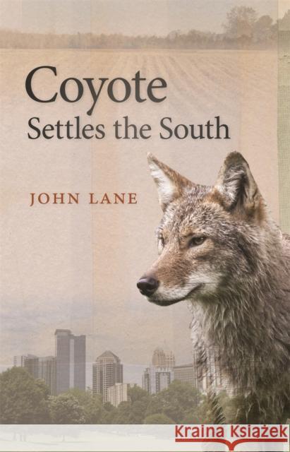 Coyote Settles the South John Lane 9780820355412 University of Georgia Press - książka