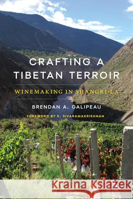 Crafting a Tibetan Terroir: Winemaking in Shangri-La Brendan A. Galipeau K. Sivaramakrishnan K. Sivaramakrishnan 9780295753362 University of Washington Press - książka