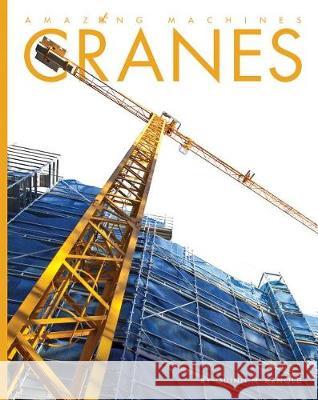 Cranes Quinn M. Arnold 9781628325041 Creative Paperbacks - książka