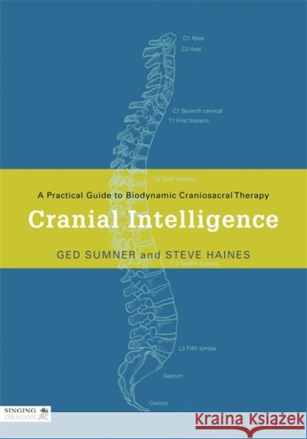 Cranial Intelligence: A Practical Guide to Biodynamic Craniosacral Therapy Steve Haines 9781848190283 Jessica Kingsley Publishers - książka