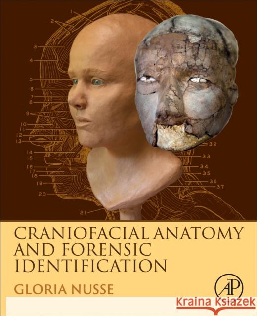 Craniofacial Anatomy and Forensic Identification Gloria Nusse 9780128092880 Academic Press - książka