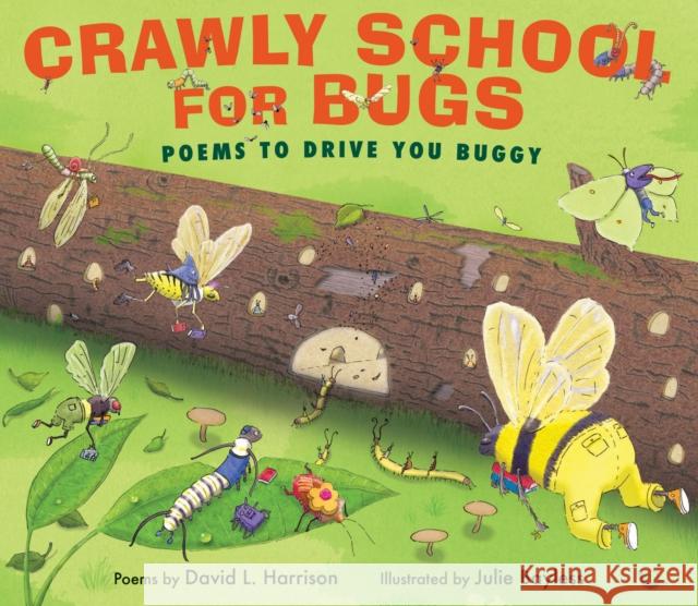 Crawly School for Bugs: Poems to Drive You Buggy David Harrison Julie Bayless 9781629792040 Wordsong - książka