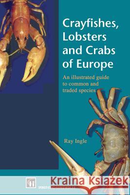 Crayfishes, Lobsters and Crabs of Europe: An Illustrated Guide to Common and Traded Species Ingle, R. 9789401064828 Springer - książka