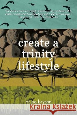 Create a Trinity Lifestyle Dr Bo Bryson 9781449799953 WestBow Press - książka