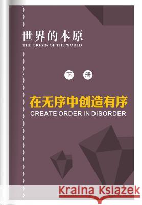 Create Order in Disorder Bing Xu 9781512351903 Createspace - książka