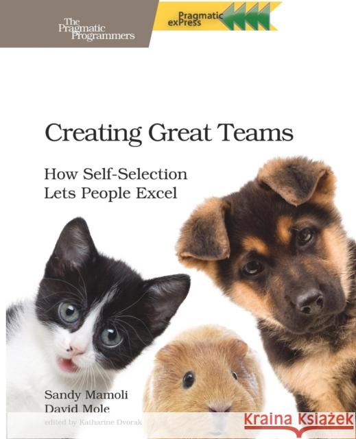 Creating Great Teams Sandy Mamoli 9781680501285 The Pragmatic Programmers - książka