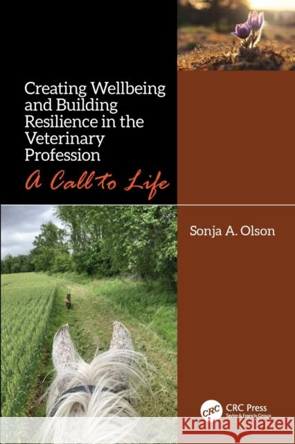 Creating Wellbeing and Building Resilience in the Veterinary Profession: A Call to Life Sonja A. Olson 9780367418793 CRC Press - książka